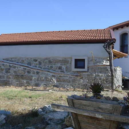 Casa Da Lima - Nestled In Nature On Santiago'S And Fatima'S Path, Close To Coimbra And Rabacal Alvorge Exterior foto